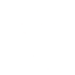 Домашня (new)